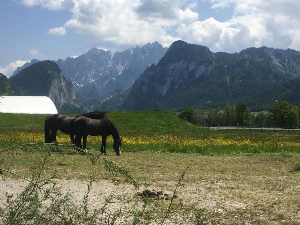 Bed and Breakfast Wengerwirt Zur Laube Weng im Gesause Exteriér fotografie