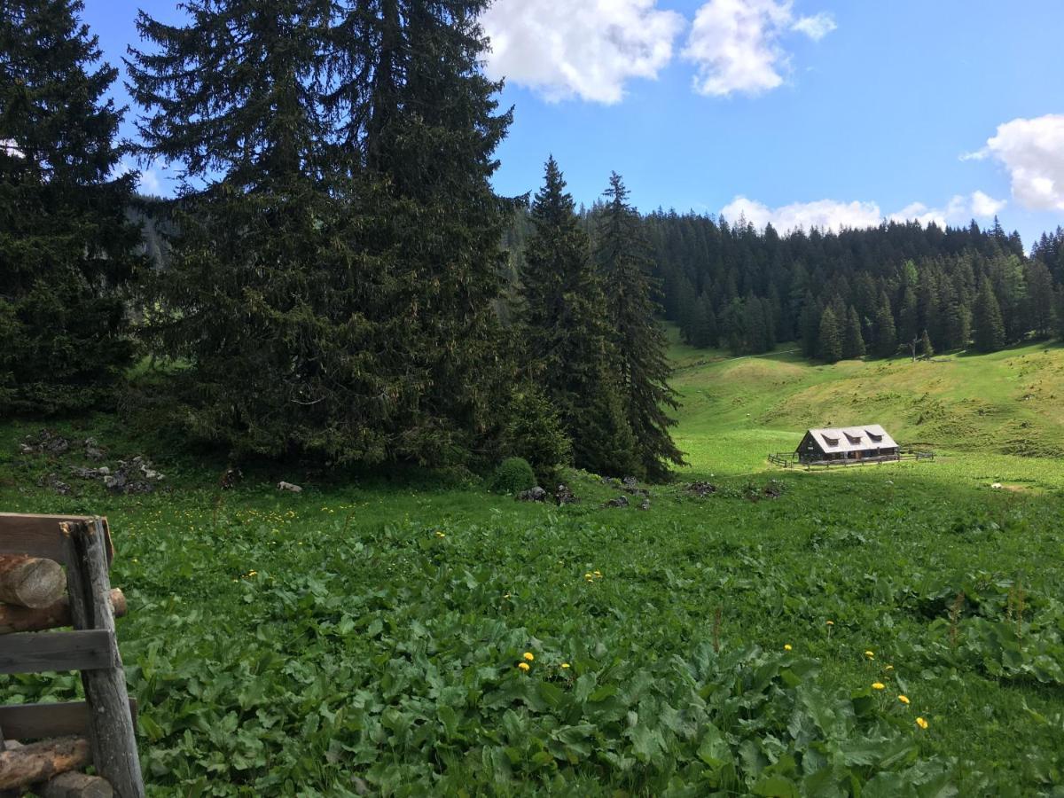 Bed and Breakfast Wengerwirt Zur Laube Weng im Gesause Exteriér fotografie
