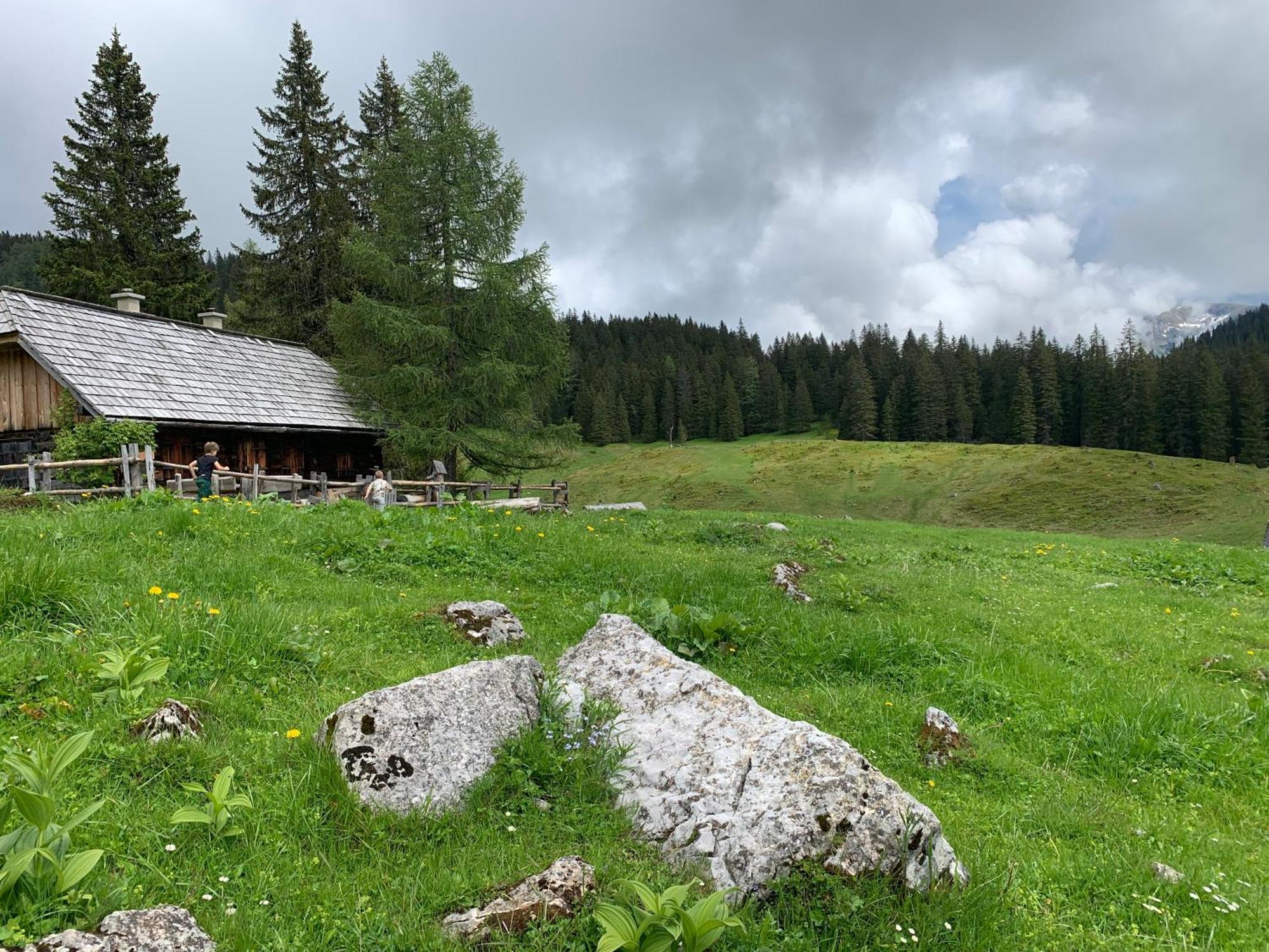 Bed and Breakfast Wengerwirt Zur Laube Weng im Gesause Exteriér fotografie