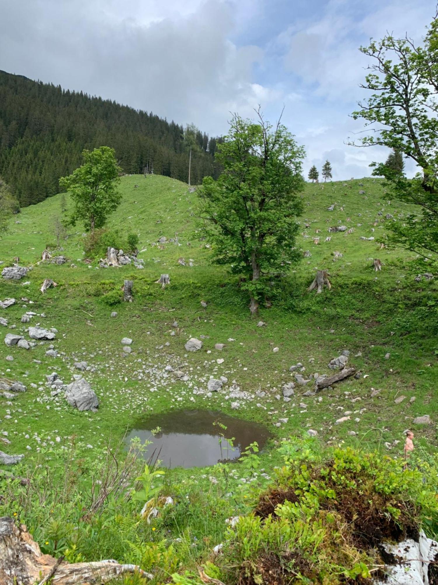 Bed and Breakfast Wengerwirt Zur Laube Weng im Gesause Exteriér fotografie